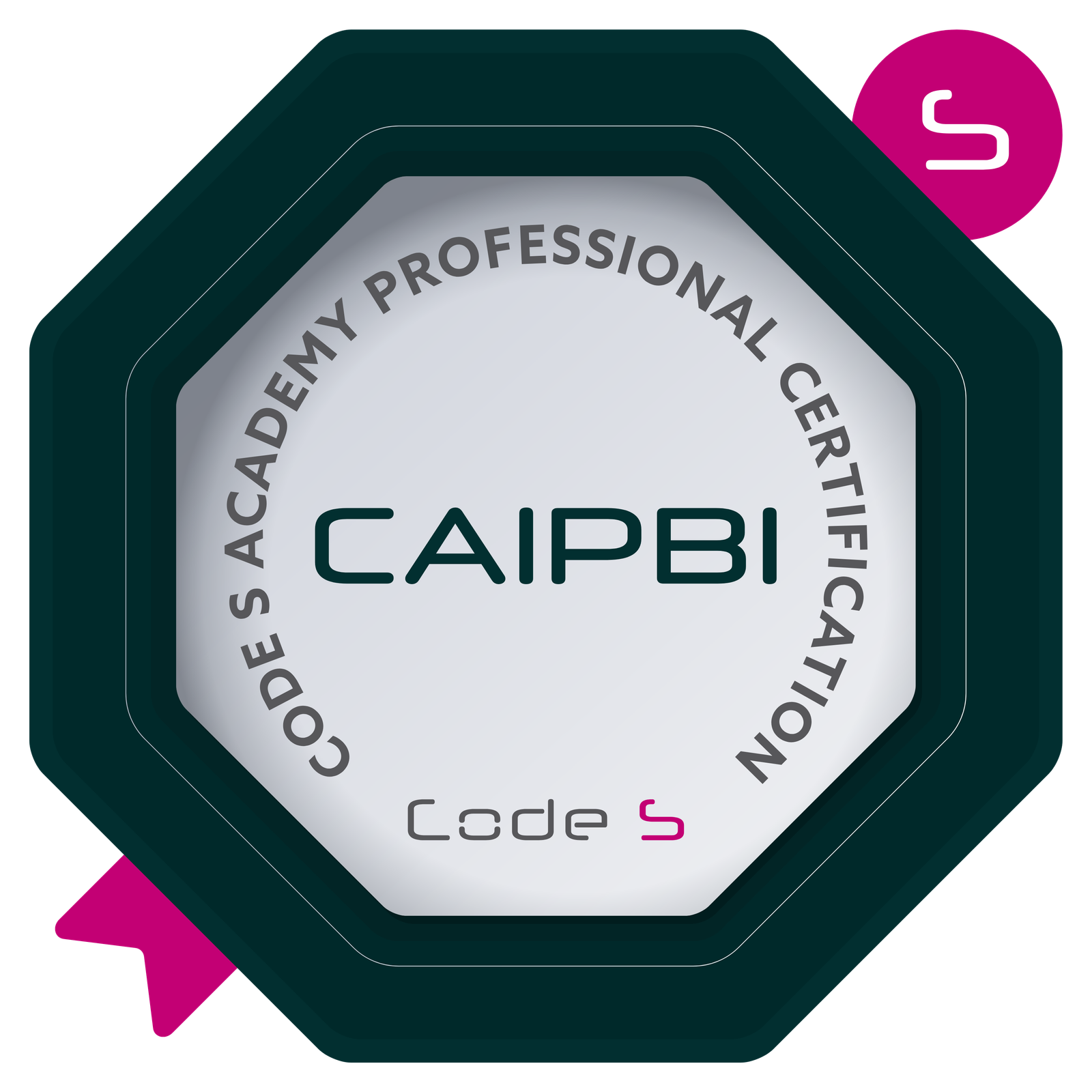 Certified AI & Painting Business Innovator (CAIPBI)
